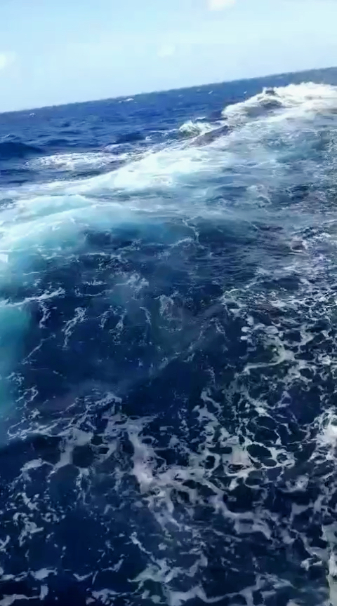 3386游戏手机版(3386游戏官网登陆)-第3张图片-QuickQ官网 3386游戏手机版(3386游戏官网登陆)-第3张图片-QuickQ官网