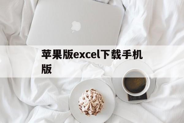 苹果版excel下载手机版(excel表格app手机版苹果)