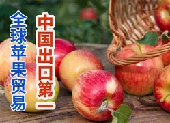 threetiles苹果版(couplegame下载ios)-第4张图片-QuickQ官网 threetiles苹果版(couplegame下载ios)-第4张图片-QuickQ官网