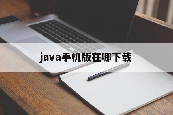 java手机版在哪下载(java下载安装教程手机)